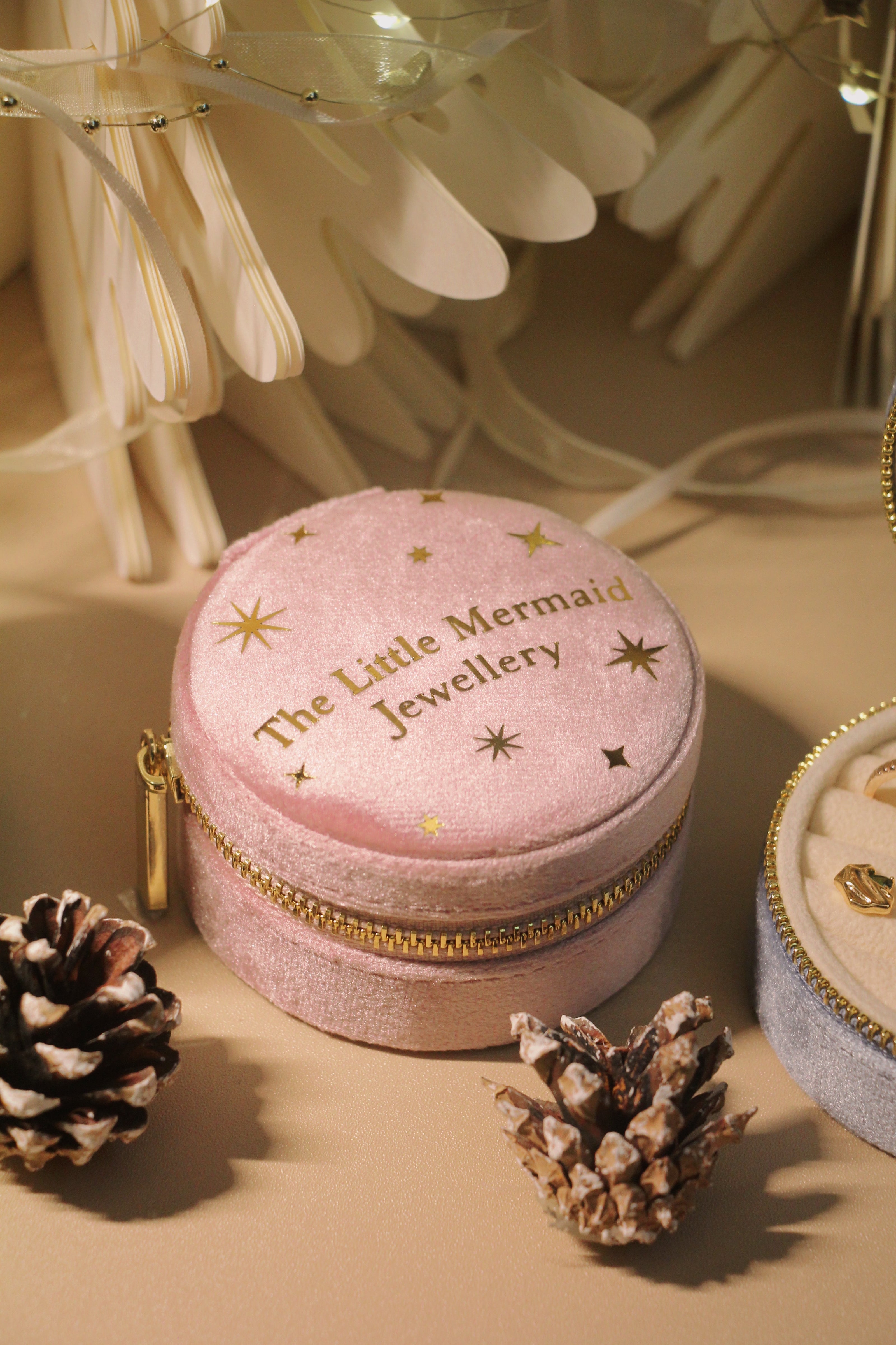 Velvet Jewellery Case