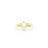 Ariel Ring