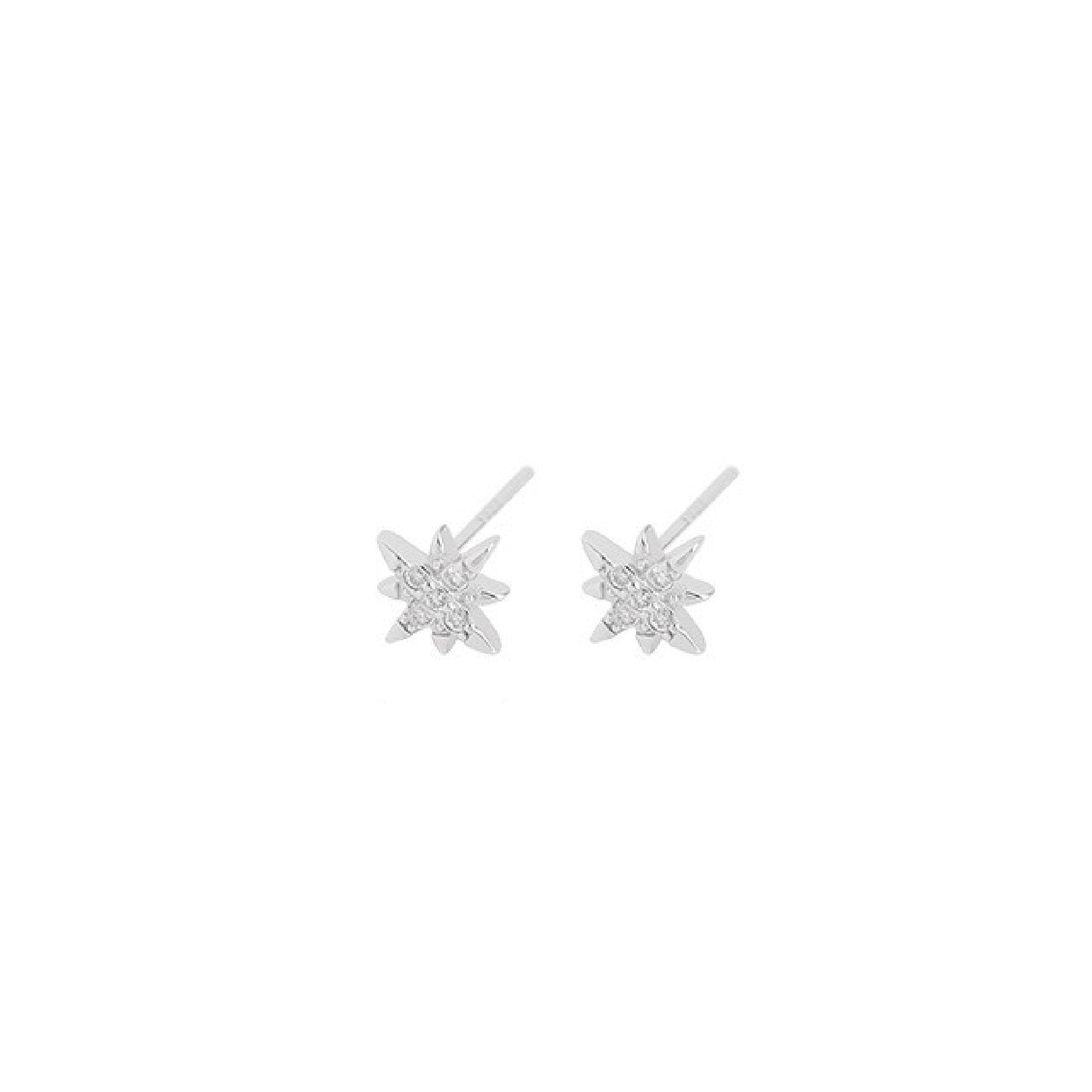 Star Earrings