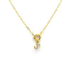Chain Hoop Necklace with Charm