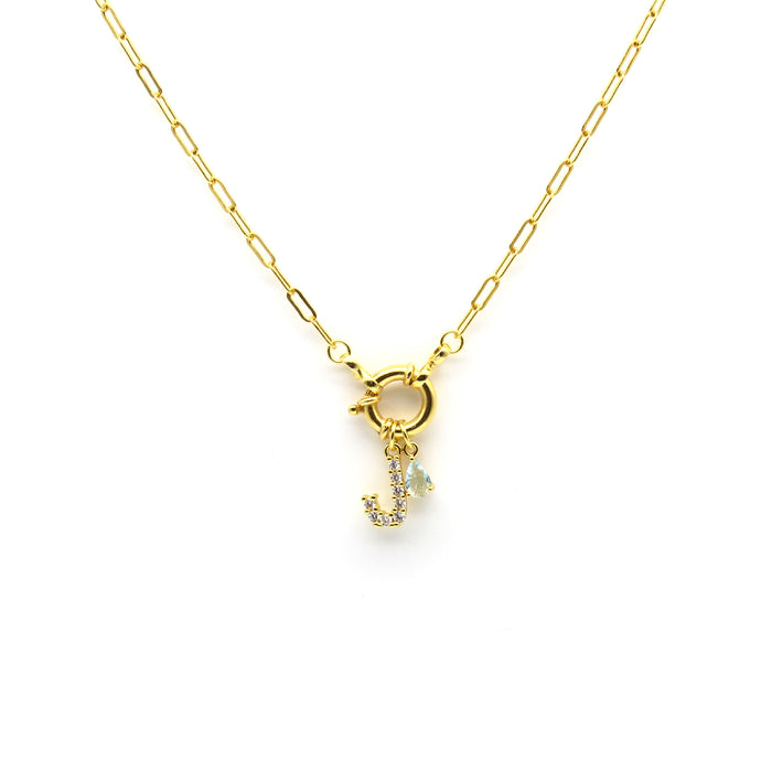 Chain Hoop Necklace with Charm